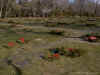 Ferncliff Cemetery - Jim Walton - December 1999